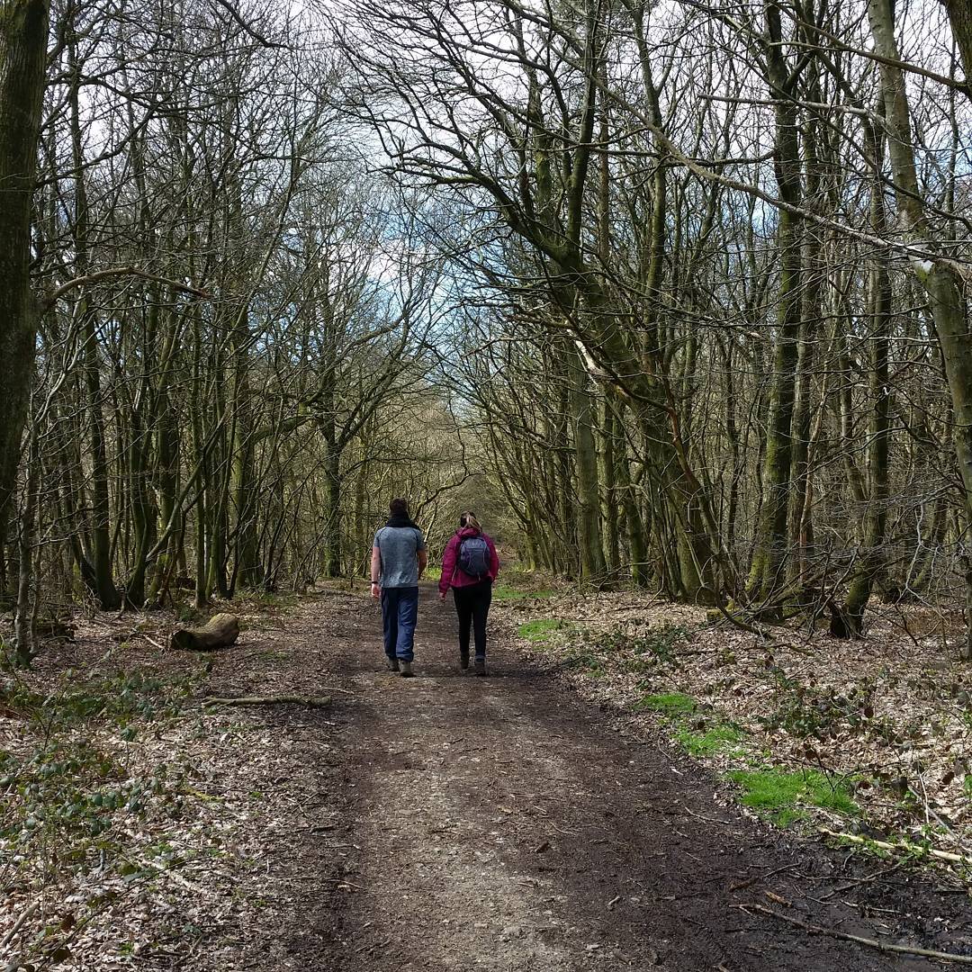 2016 Isle of Wight Walking Festival Tennyson Trail