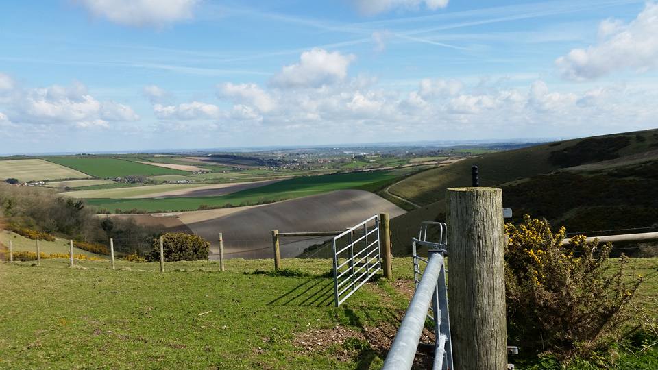 skinners farm Garston Down