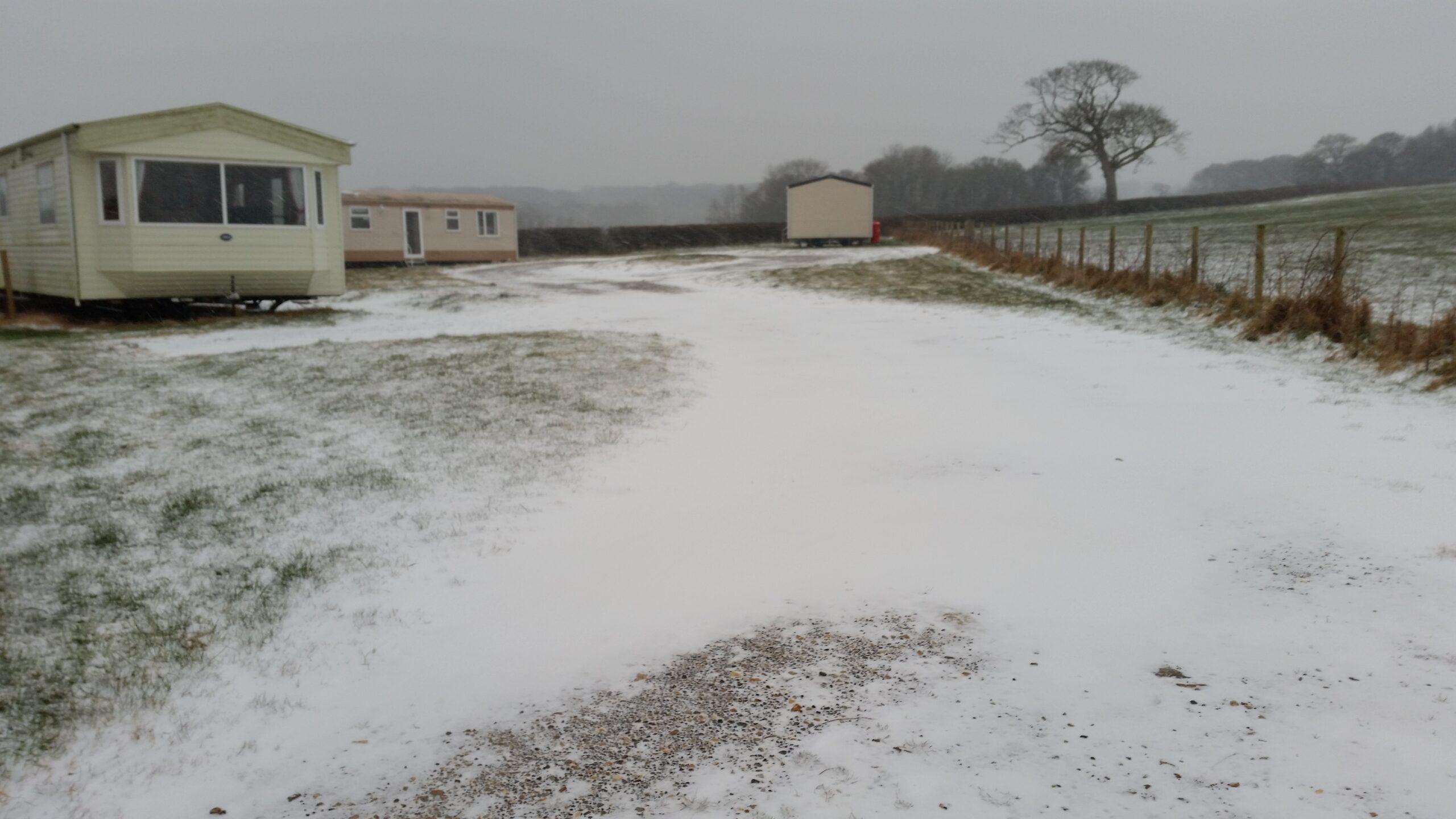 snow1
